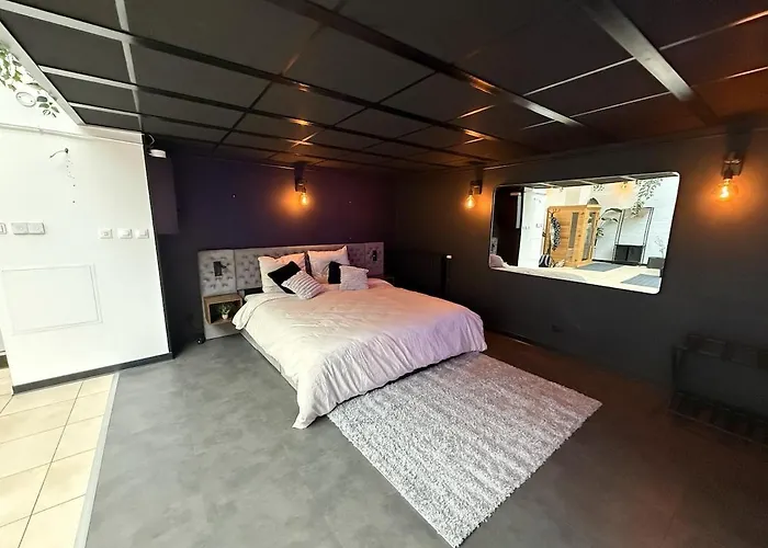 Loft Des Sens 公寓 *